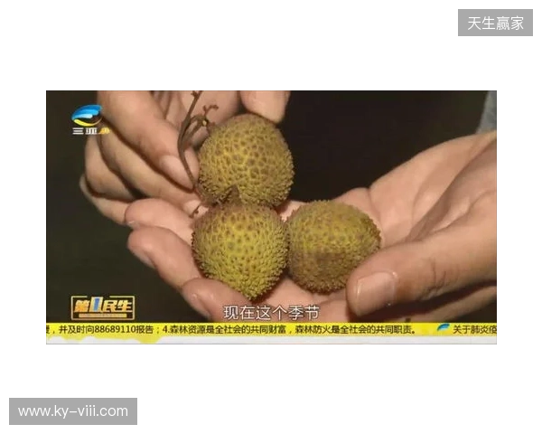 穆德里克因车窗贴膜颜色过深被拦下后,被发现禁驾期内驾驶 穆德里克因车窗贴膜颜色过深被拦下后,被发现禁驾期内驾驶